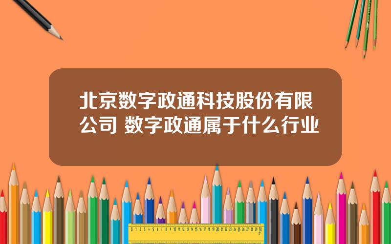 北京数字政通科技股份有限公司 数字政通属于什么行业